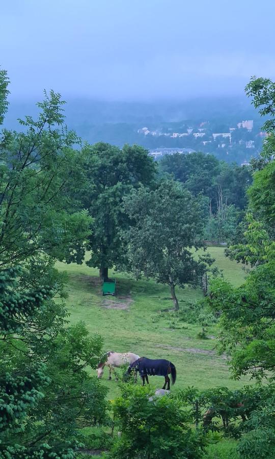 Casa Del Svana Bratislava Esterno foto
